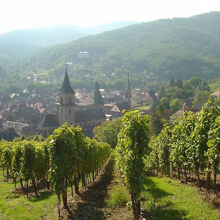 La Tour Enchantee Ribeauville  Luaran gambar