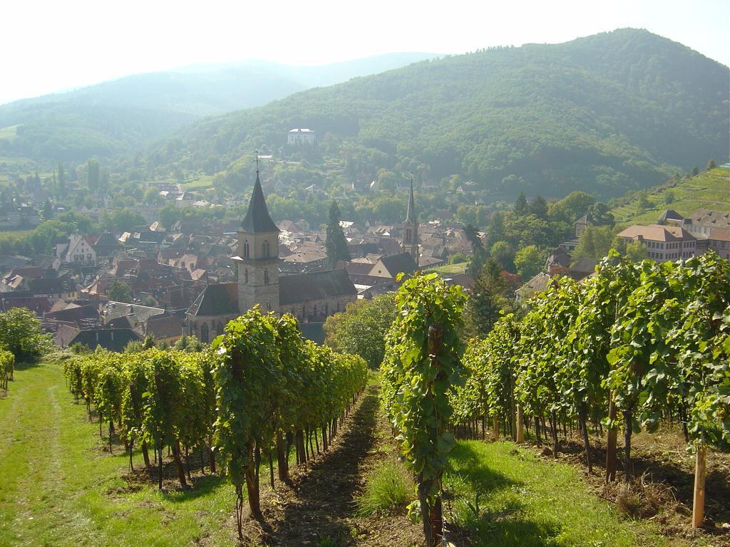 La Tour Enchantee Ribeauville  Luaran gambar